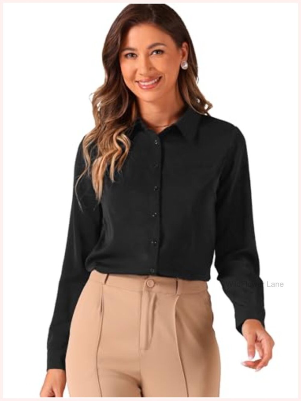 Allegra K Womens Chiffon Long Sleeve Button Down Blouse Business Office Top